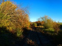 [Group 3]-DJI 0001 DJI 0021-21 images